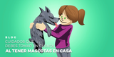 CUIDADOS QUE DEBES TOMAR EN CUENTA AL TENER MASCOTAS EN CASA