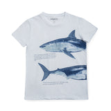 PLAYERA TIBURON 54 BLANCO