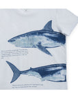 PLAYERA TIBURON 54 BLANCO